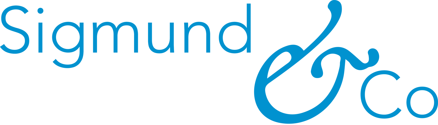 Sigmund & Co